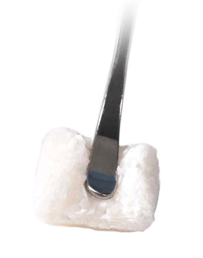 RegenerOss® Synthetic