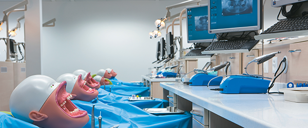 Room of Artificial Dental Practice Models and Equipment