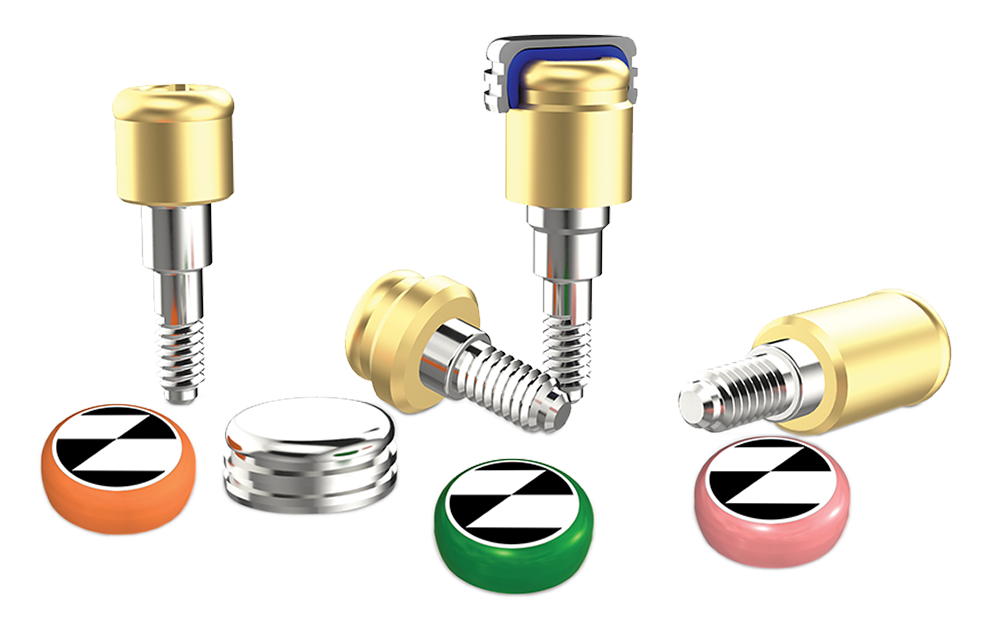 OverdenSURE Abutments